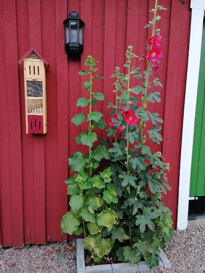 Naturnaera Charmigt Boende Bed & Breakfast Helsingborg Exterior photo